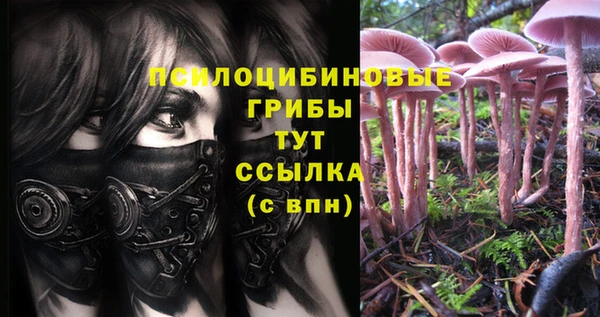гидра Мегион
