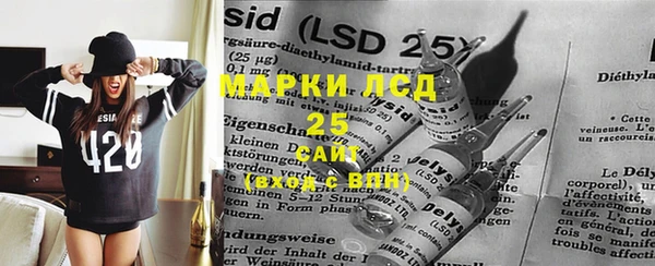 PSILOCYBIN Магас
